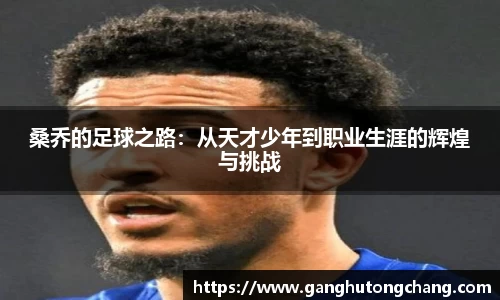 桑乔的足球之路：从天才少年到职业生涯的辉煌与挑战