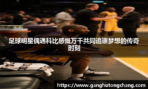 zoty中欧官方网站